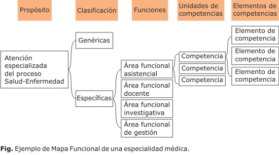 Identificación y diseño de las competencias laborales en el Sistema  Nacional de Salud | Salas Perea | Educación Médica Superior